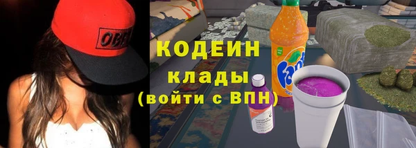 гашик Пестово
