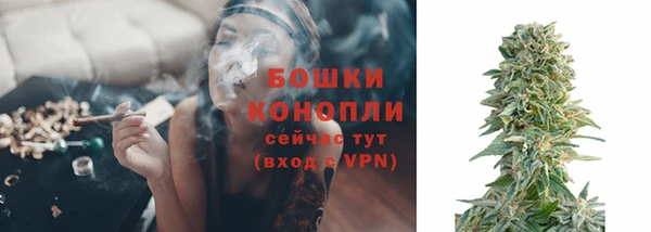 ПСИЛОЦИБИНОВЫЕ ГРИБЫ Абдулино