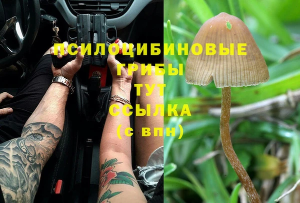 COCAINE Абаза