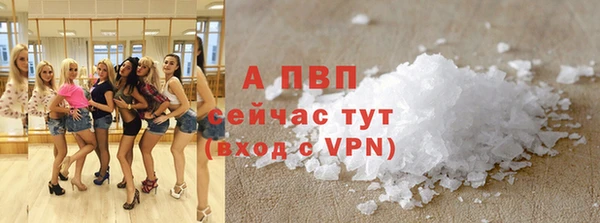 соль ск Пересвет