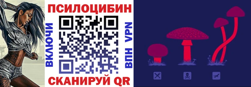 Псилоцибиновые грибы ЛСД  купить наркоту  Азнакаево 