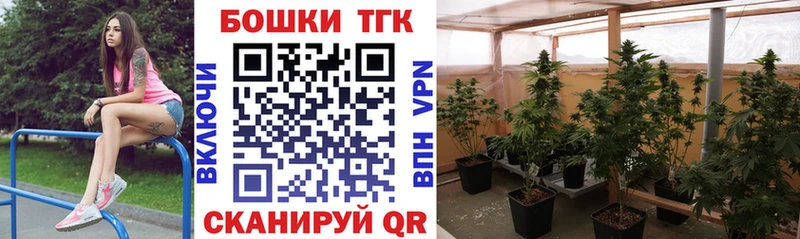 Шишки марихуана SATIVA & INDICA цена наркотик Азнакаево